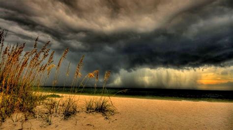 Summer Storm .